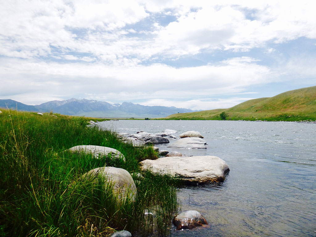Madison River Overview Madison River Womens trip, Lori Ann Murphy, Reel Women Flyfishing Adventures