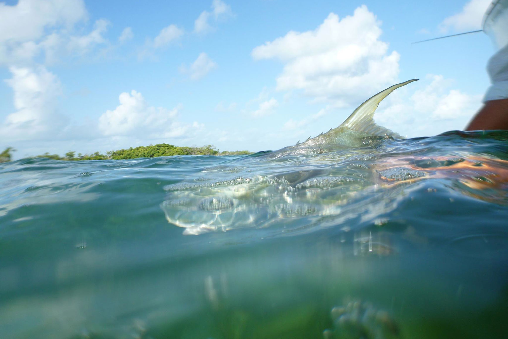 Permit saltwater fly fishing
