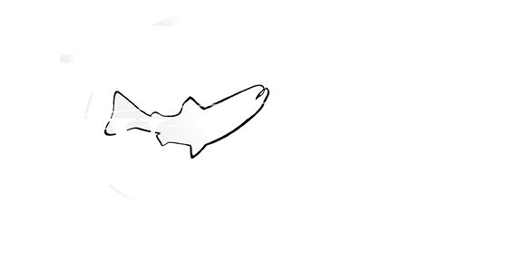 Reel Women Fly Fishing Logo Footer